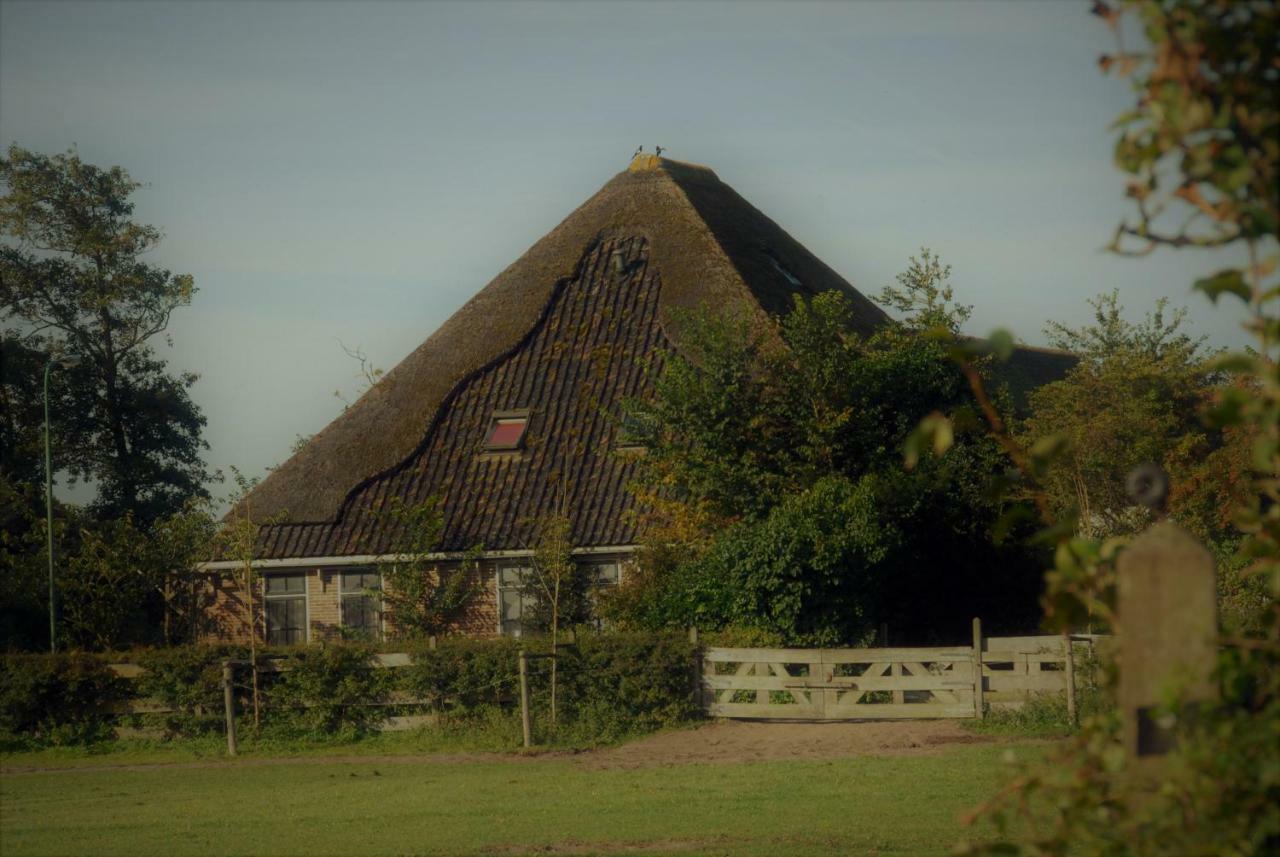 Sterrenhoeve Castricum Exteriör bild